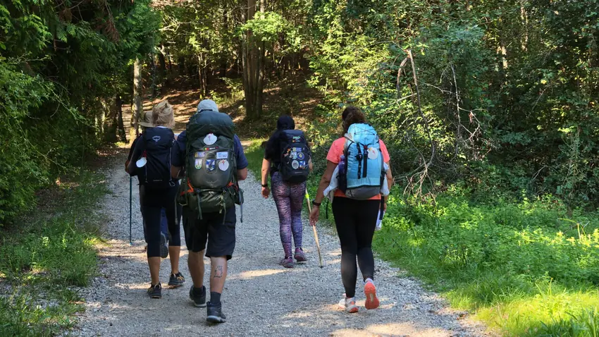 A group of adults hiking on a forest trail