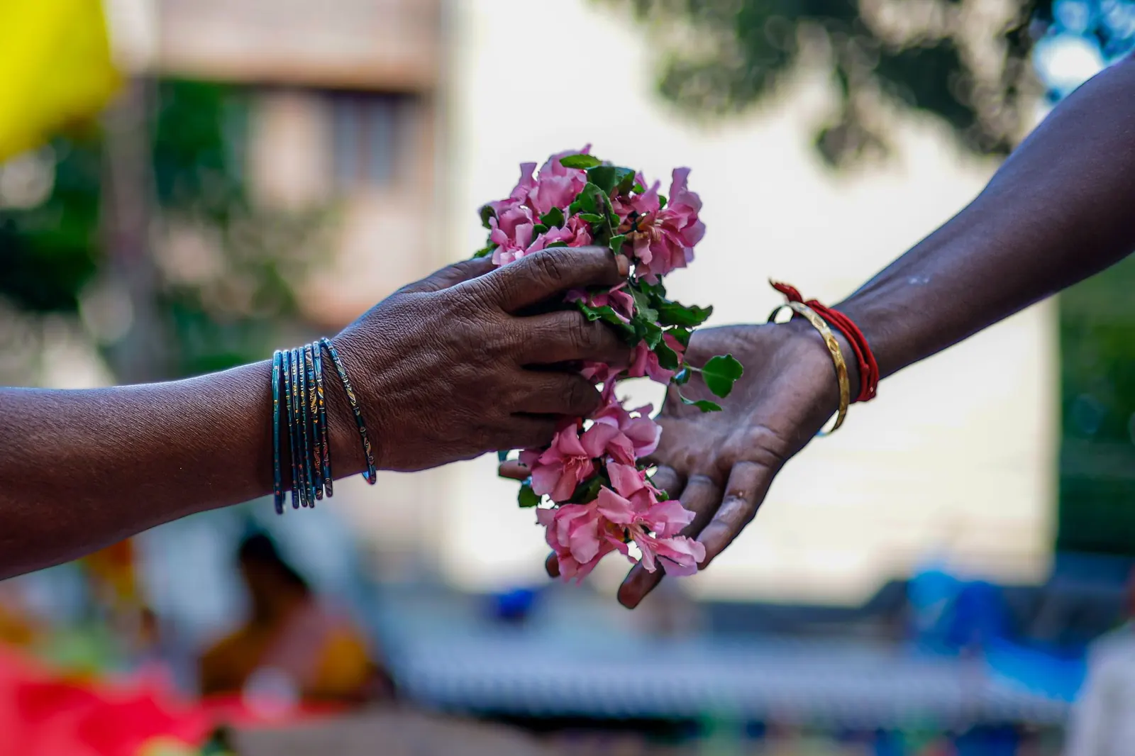 One person handing another a small bunch of pink flowers