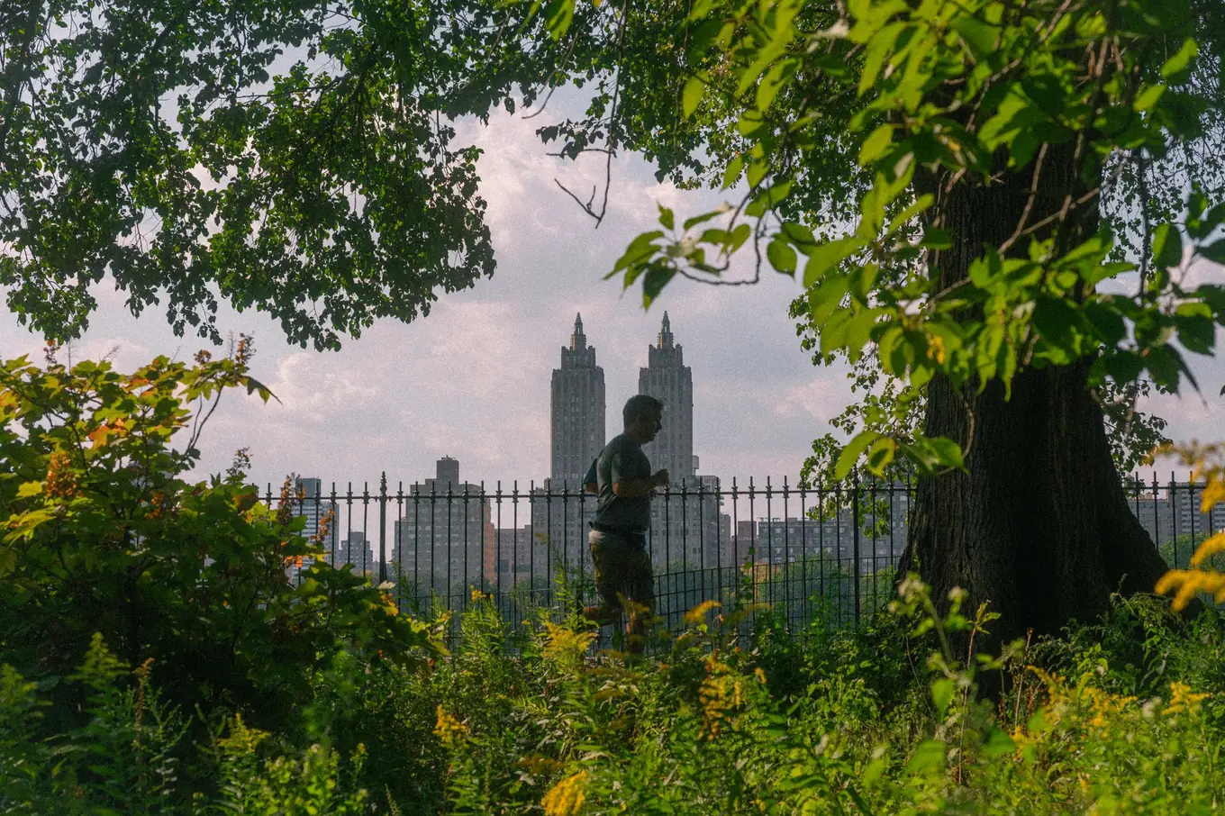 A runner in Central Park with Manhattan towers behind the trees